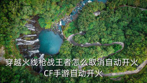 穿越火线枪战王者怎么取消自动开火 CF手游自动开火