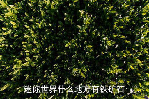迷你世界什么地方有铁矿石
