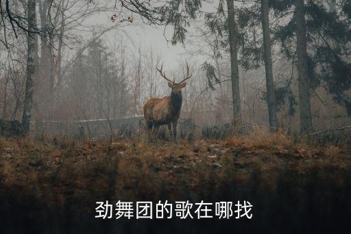 手游劲舞团歌曲怎么找，劲舞团的歌在哪找