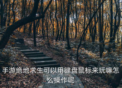手游版冷兵器吃鸡怎么用，手游绝地求生可以用键盘鼠标来玩嘛怎么操作呢