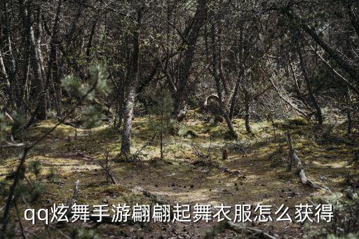 qq炫舞手游翩翩起舞衣服怎么获得
