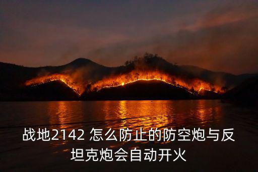 战地2142 怎么防止的防空炮与反坦克炮会自动开火