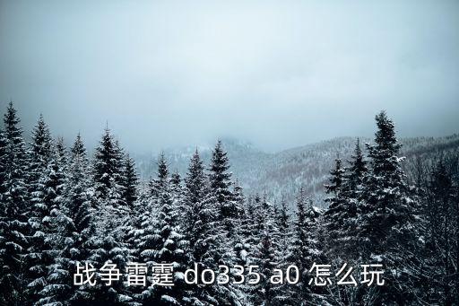 战争雷霆 do335 a0 怎么玩