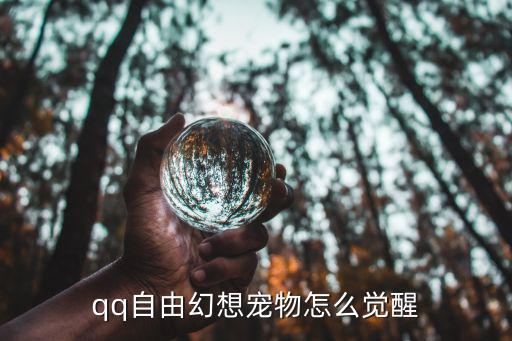 幻灵修仙传手游宠物觉醒怎么觉醒，qq自由幻想宠物怎么觉醒