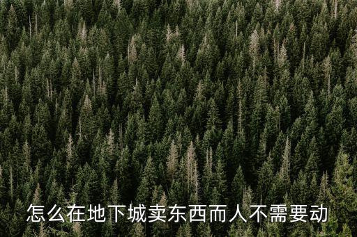 怎么在地下城卖东西而人不需要动