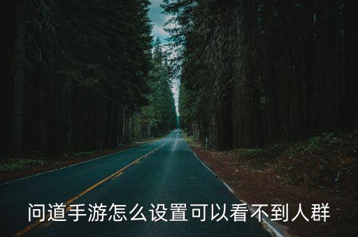 问道手游怎么设置可以看不到人群