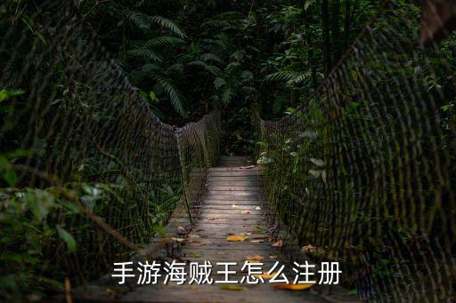 手游海贼王怎么注册