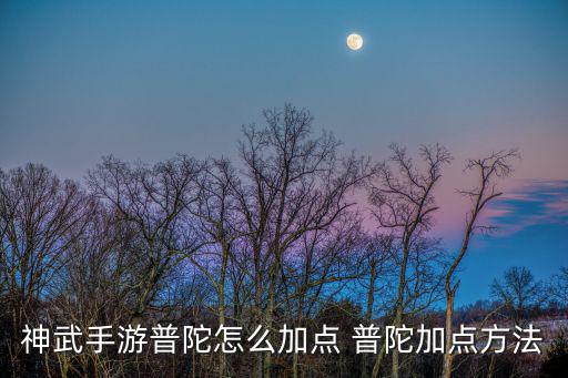 神武4手游普陀法耐怎么加点，神武手游普陀怎么加点 普陀加点方法