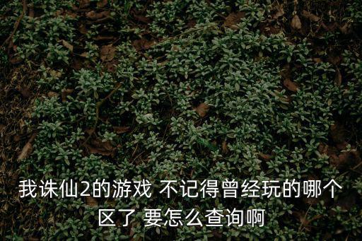 我诛仙2的游戏 不记得曾经玩的哪个区了 要怎么查询啊