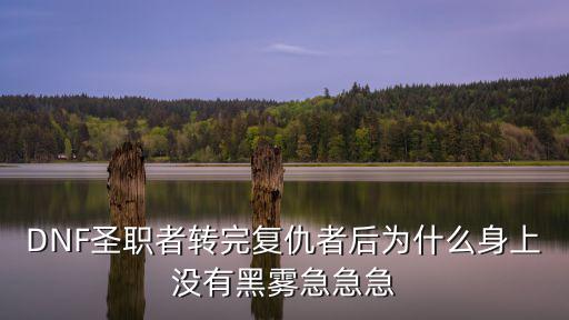 DNF圣职者转完复仇者后为什么身上没有黑雾急急急