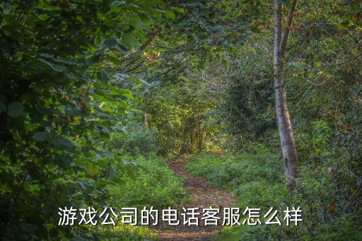游戏公司的电话客服怎么样
