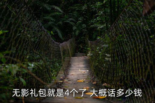 无影礼包就是4个了 大概话多少钱