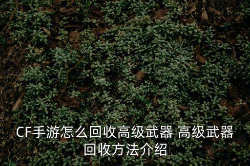 CF手游怎么回收高级武器 高级武器回收方法介绍