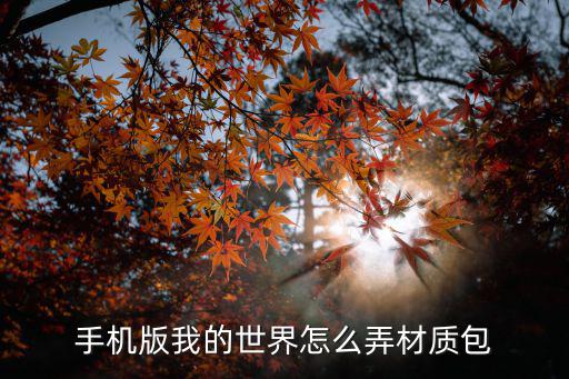 手机版我的世界怎么弄材质包
