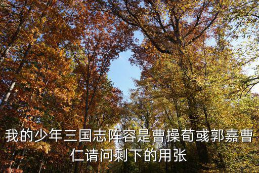 我的少年三国志阵容是曹操荀彧郭嘉曹仁请问剩下的用张