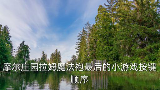 摩尔庄园手游怎么更换按键布局，摩尔庄园游戏中方向键不能使用