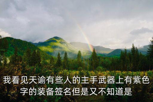 我看见天谕有些人的主手武器上有紫色字的装备签名但是又不知道是