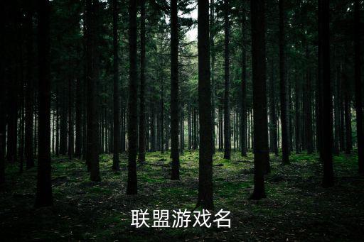联盟游戏名