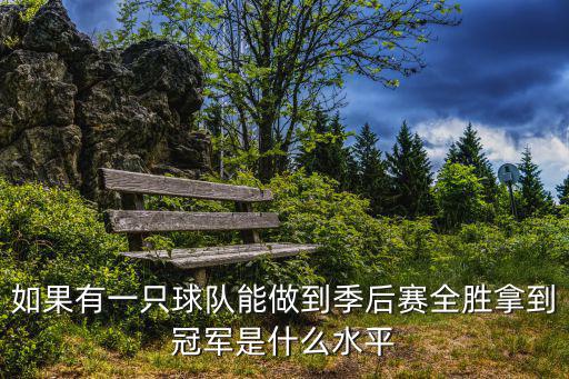 如果有一只球队能做到季后赛全胜拿到冠军是什么水平