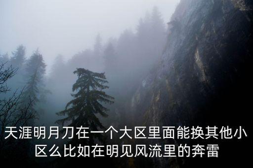 天涯明月刀在一个大区里面能换其他小区么比如在明见风流里的奔雷