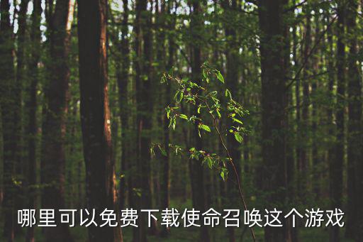 哪里可以免费下载使命召唤这个游戏