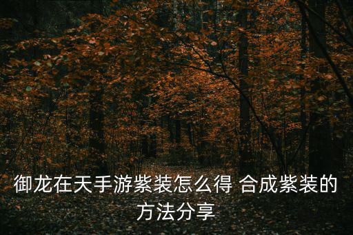 御龙在天手游紫装怎么得 合成紫装的方法分享