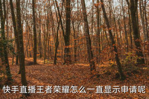 快手直播王者荣耀怎么一直显示申请呢