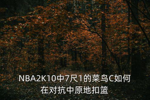 NBA2K10中7尺1的菜鸟C如何在对抗中原地扣篮