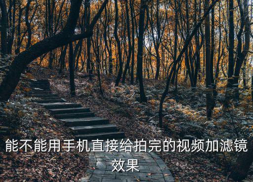 能不能用手机直接给拍完的视频加滤镜效果