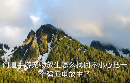 问道手游宠物放生怎么找回不小心把一个强五电放生了