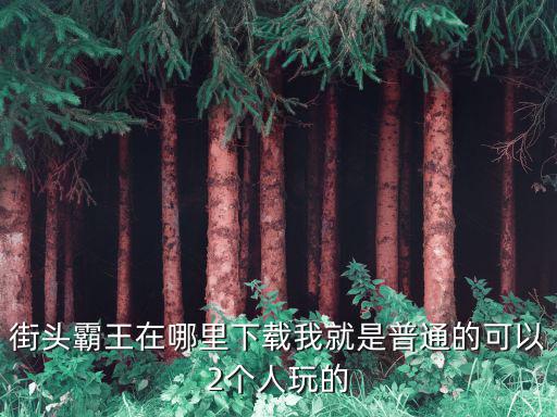 怎么下载街头霸王手游版游戏，街头霸王在哪里下载我就是普通的可以2个人玩的