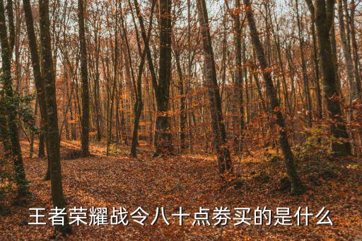 王者荣耀战令八十点劵买的是什么