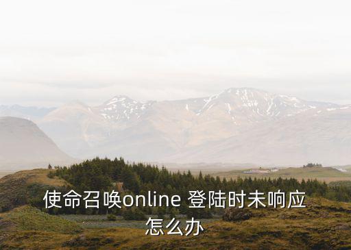 使命召唤online 登陆时未响应怎么办