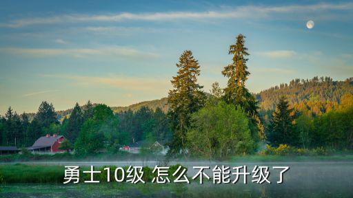 勇士10级 怎么不能升级了