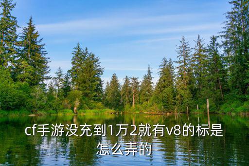 cf手游v8仓库怎么充钱，cf手游充到v8要多少钱