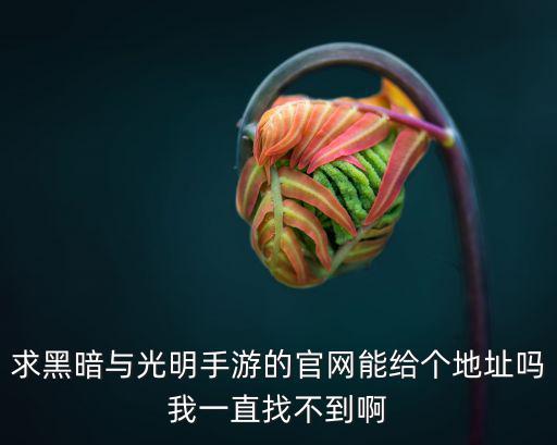 求黑暗与光明手游的官网能给个地址吗我一直找不到啊