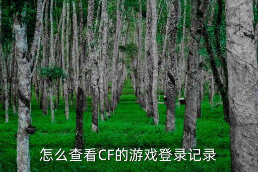 怎么查看cf手游游戏登录记录，怎么查cf历史登录记录