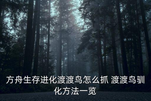 方舟手游渡渡鸟羽毛怎么拿，方舟生存进化渡渡鸟怎么抓 渡渡鸟驯化方法一览