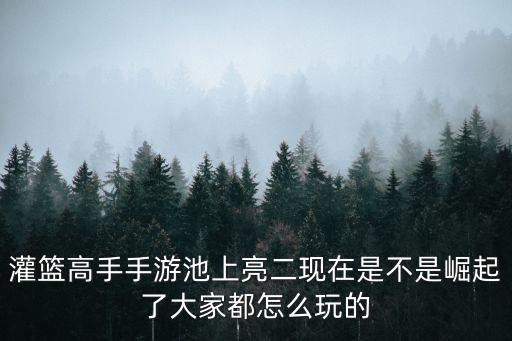 灌篮高手手游池上亮二现在是不是崛起了大家都怎么玩的
