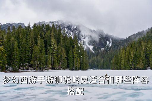 梦幻西游手游狮驼岭更适合和哪些阵容搭配