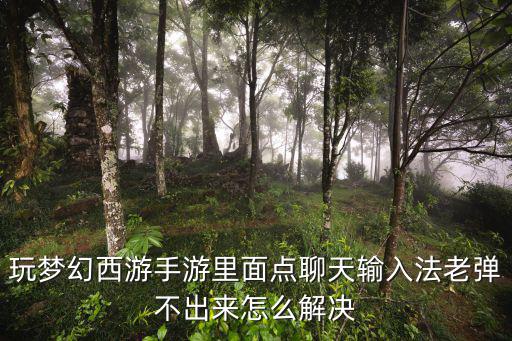 玩梦幻西游手游里面点聊天输入法老弹不出来怎么解决