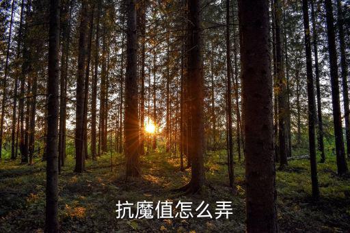 抗魔值怎么弄