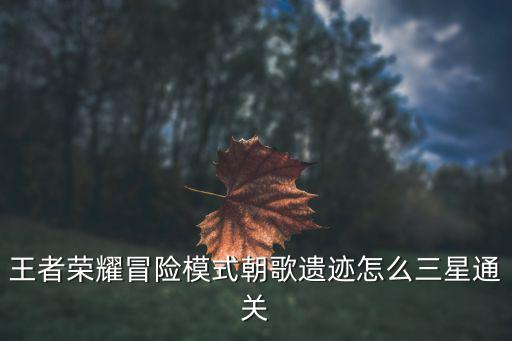 手游朝歌遗迹怎么卡二倍速，M2接口ssd硬盘能不能直接接在pcie显卡接口上