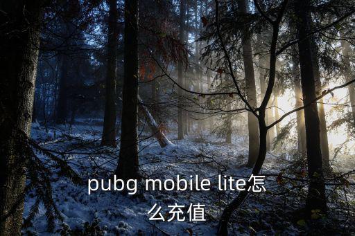 手游pubg怎么开启充值，pubg游戏里面商店显示请在steam设置steam overlay