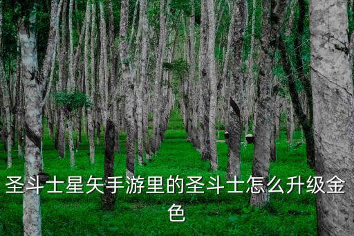 圣斗士星矢手游里的圣斗士怎么升级金色