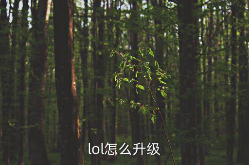 lol怎么升级