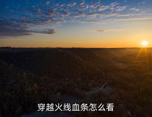 穿越火线血条怎么看