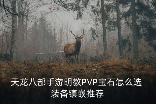 天龙八部手游明教PVP宝石怎么选 装备镶嵌推荐