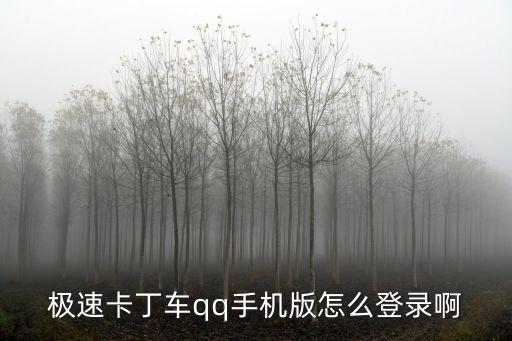 极速卡丁车qq手机版怎么登录啊