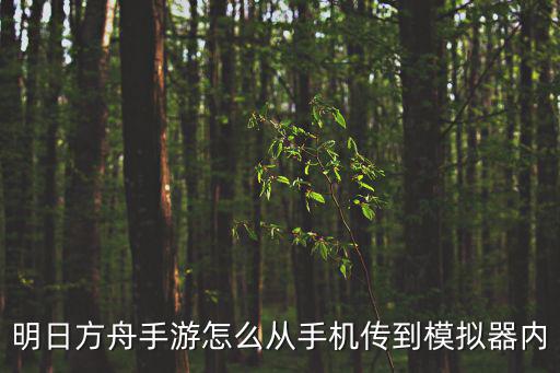 明日方舟手游怎么从手机传到模拟器内